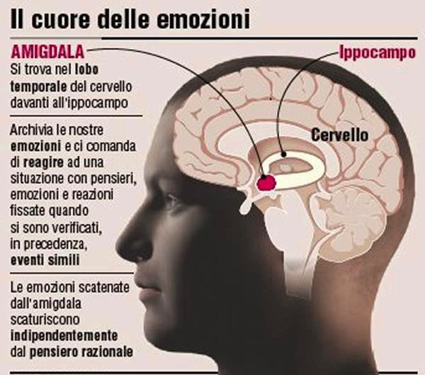 Amigdala, il cuore delle emozioni