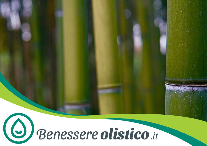 Massaggio Thai Bamboo Massage