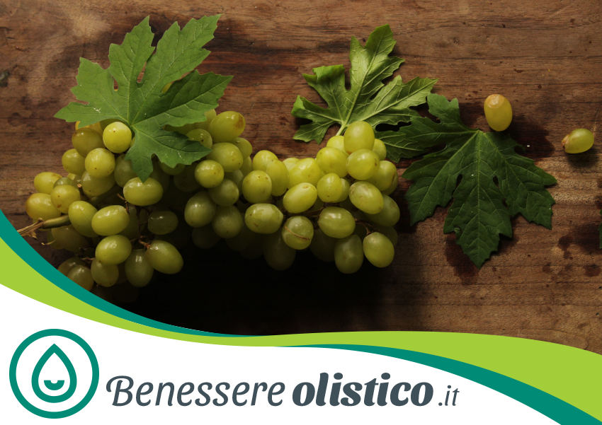 L'Olio di Vinaccioli